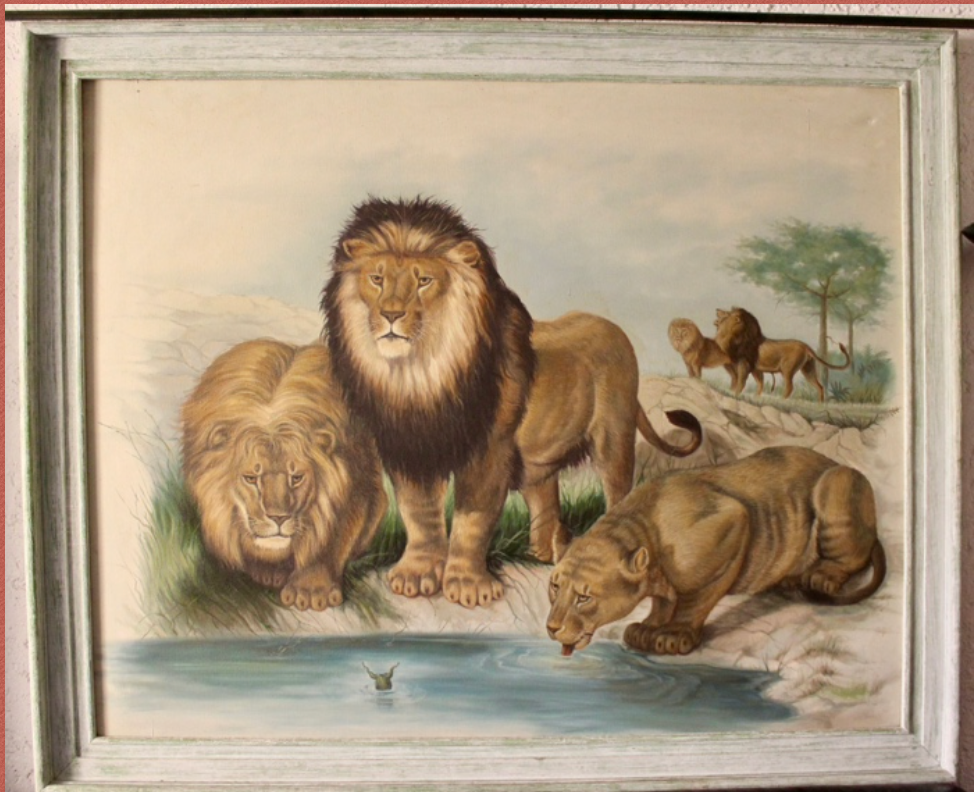 Cuadro Leones